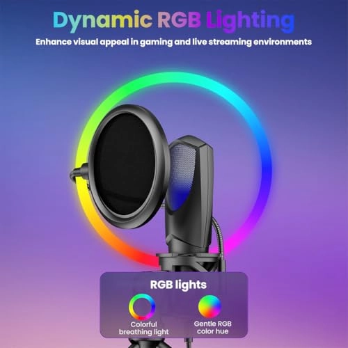 HASTHIP USB Microphone