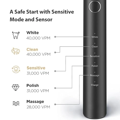 D2 - 40000 movements per minute 8 Replacement Heads 5 Modes