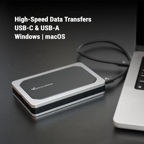 DL4-SSD - 1000 GB