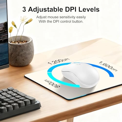 Wireless Mouse - USB