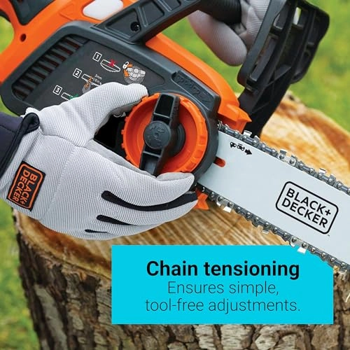 LCS1240B - 550 Watts