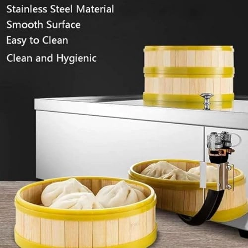 Electric Steamer