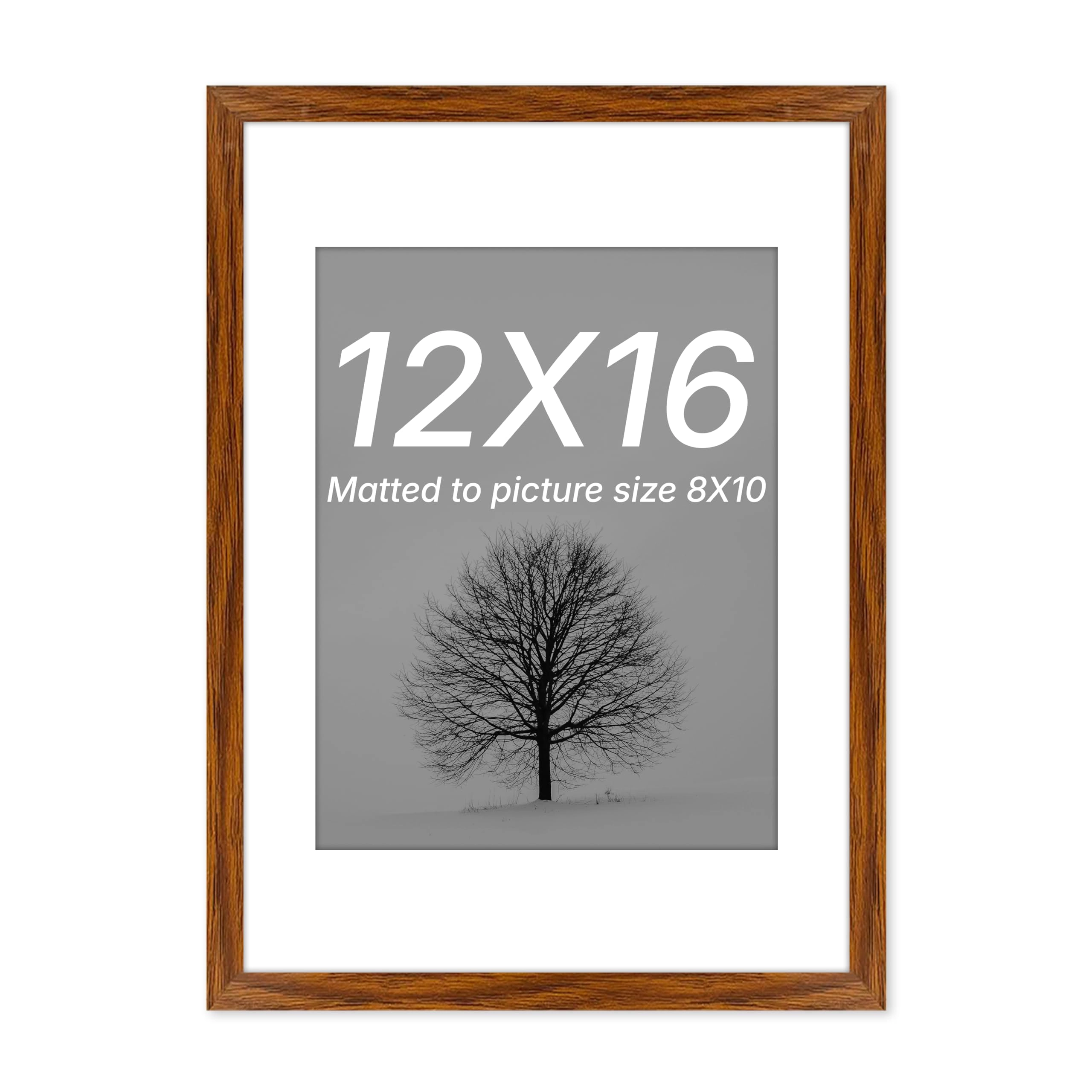 Edge Square, Edge Square Document Frame - 12x16 Inch