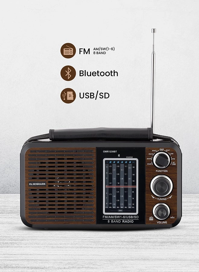 Olsenmark FM/AM/SW Radio & Music Player - Portable