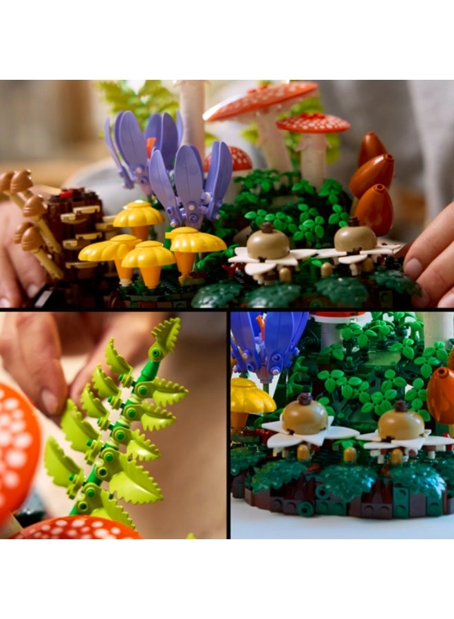 Woodland Mushrooms