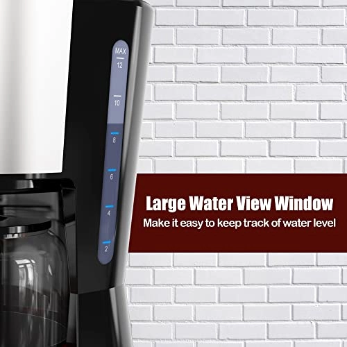 12-Cup Programmable Coffee Maker - Glass Carafe Permanent Filter