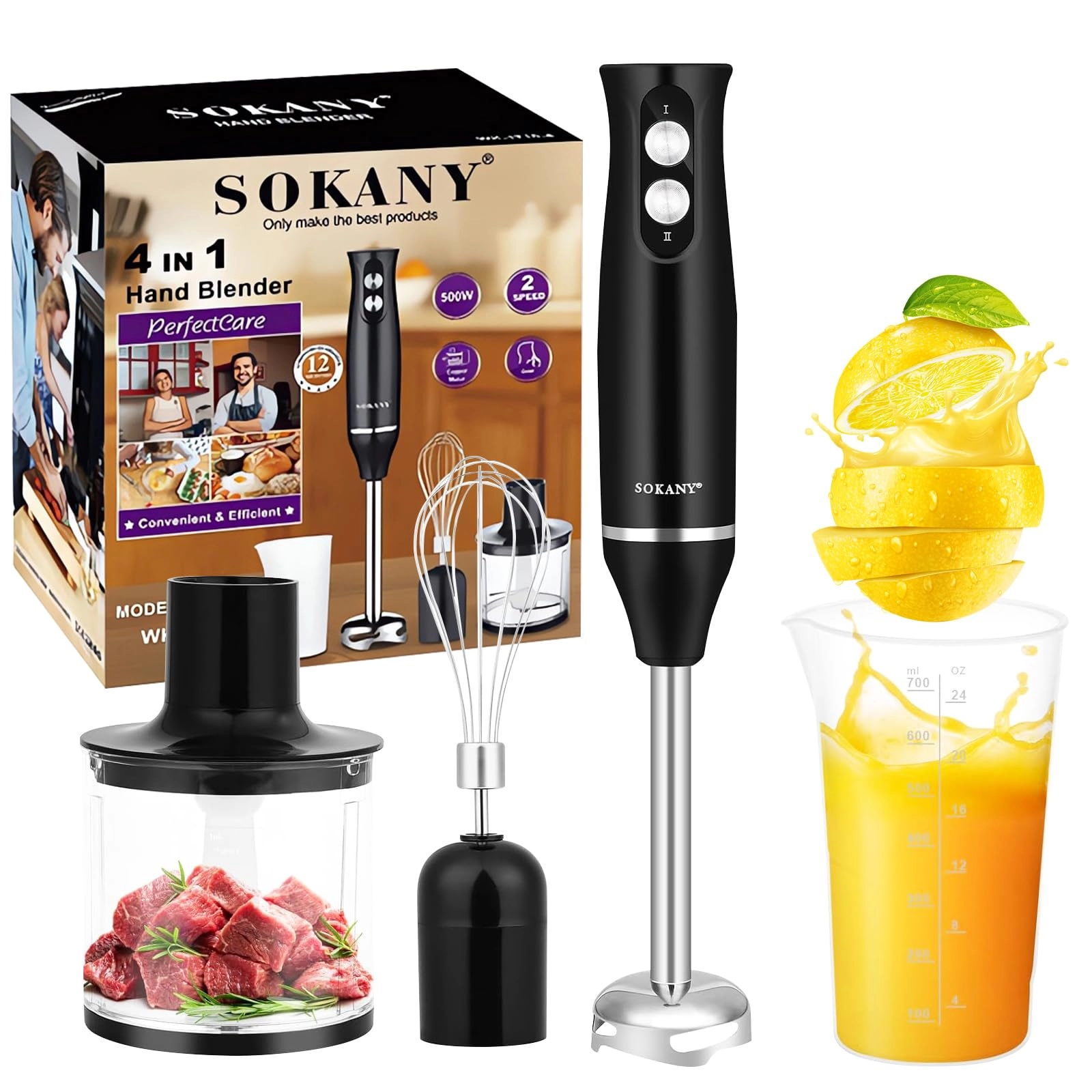 Bizcasa Hand Blender - 500W