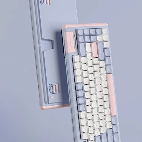 D84 - Wired/Wireless