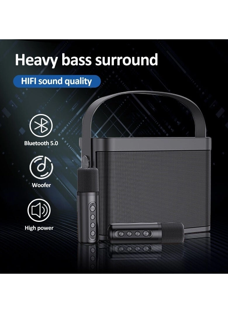 YS-219 - 2 Wireless Microphones