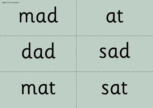 Oxford University Press Nursery Green Word Cards - 120 pieces