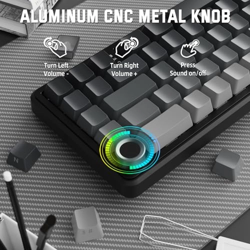 X66 - EN Wired/Wireless