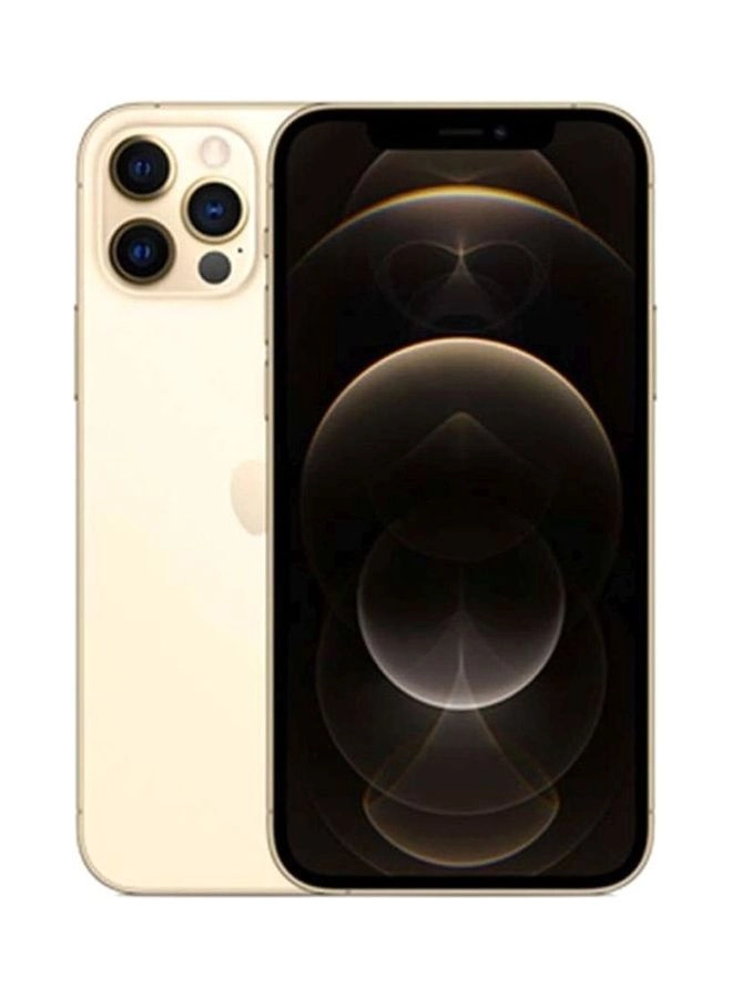 (Renewed) iPhone 12 Pro - 256GB