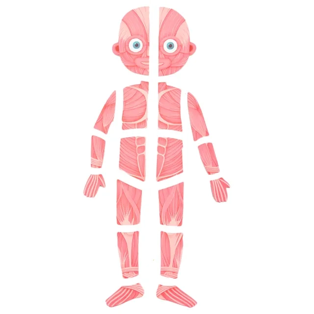 Body Magnetic Puzzle - 5 years+ 90 pieces