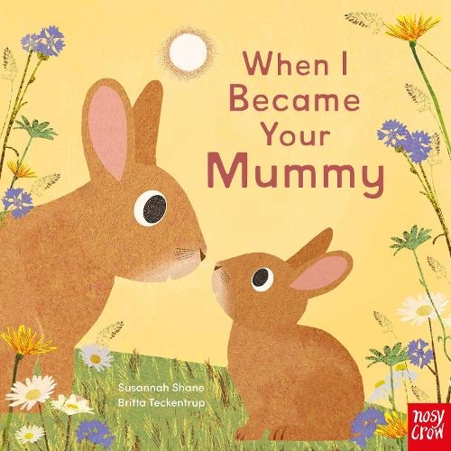 Nosy Crow Ltd When I Became Your Mummy Board Book