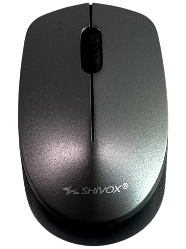 SX-1000 - 2.4GHz Wireless