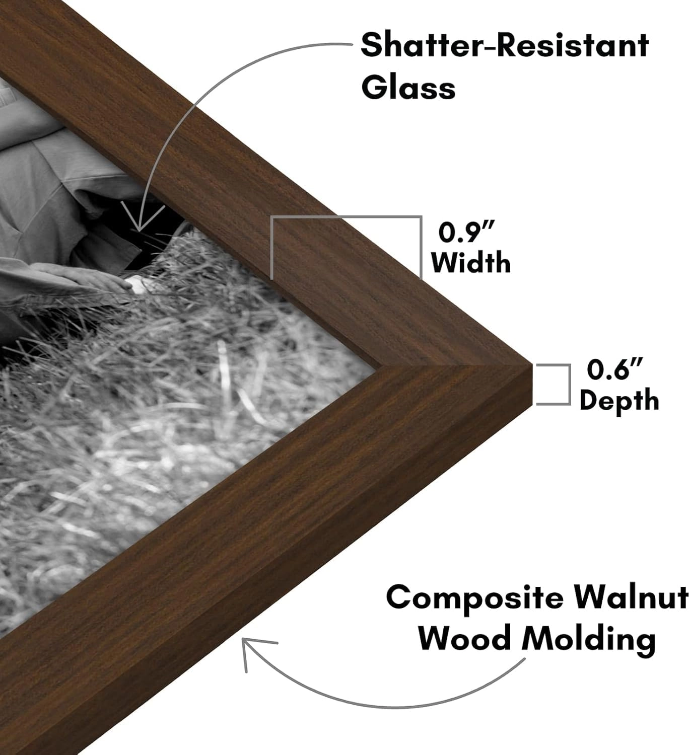 Set of 10 Picture Frames