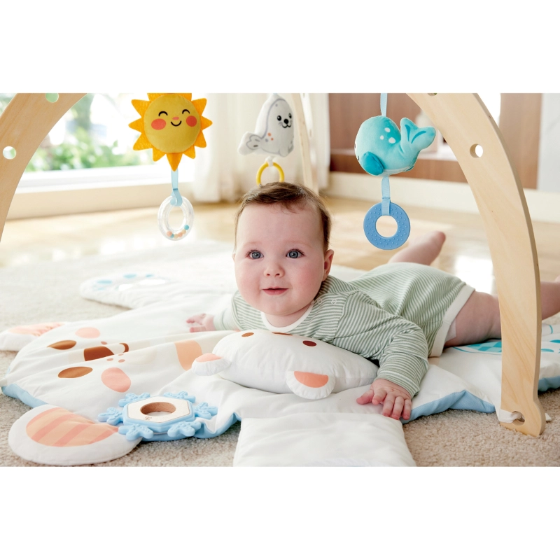 Snuggle Bear Foldable Activity Gym - 0 to 18 months