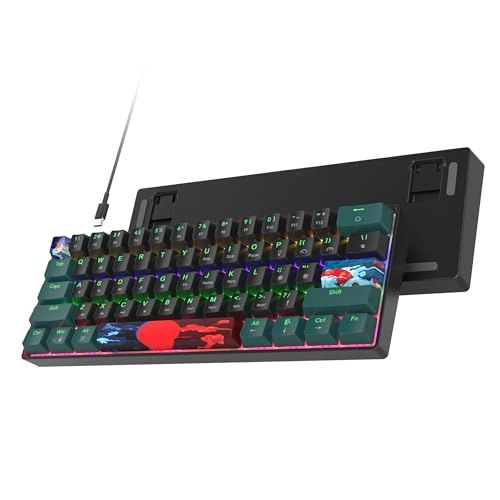 65 Percent Mechanical Gaming Keyboard - Wired