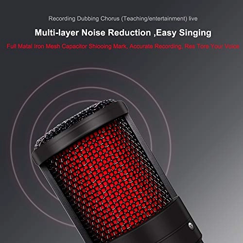 ss1/i47612 USB+3.5mm-Mini-Jack Microphone