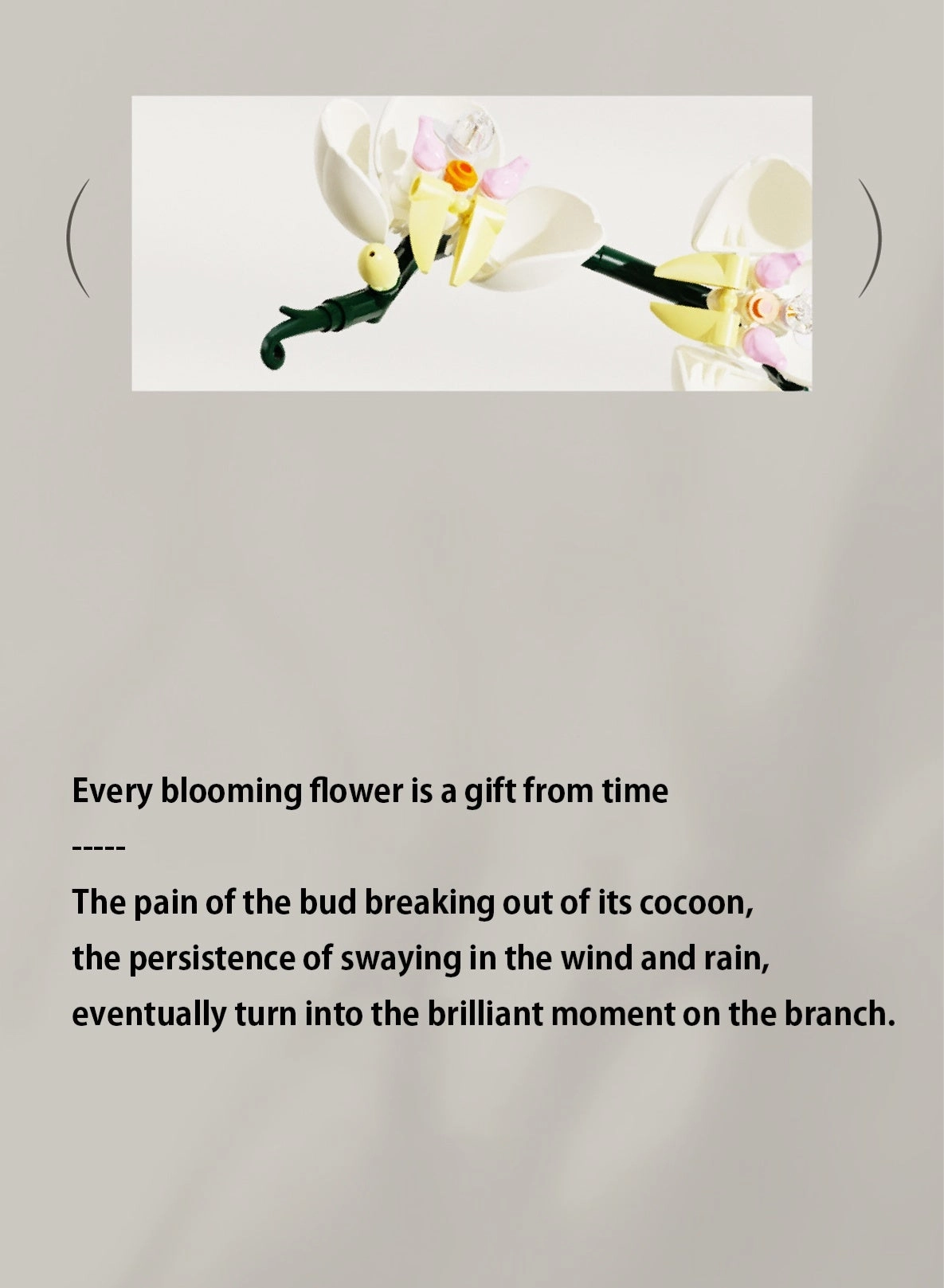 erfly Orchid - 2245 pcs