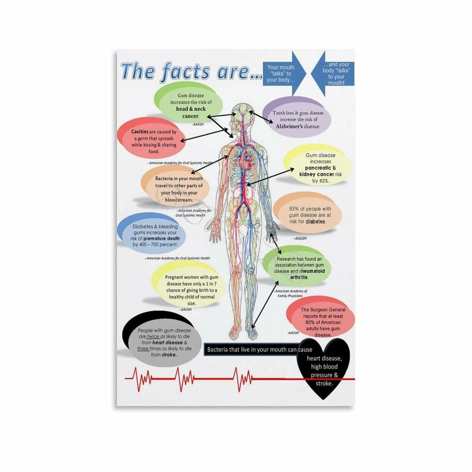 ekfbqbgw Dental Poster - 12x18inch(30x45cm)