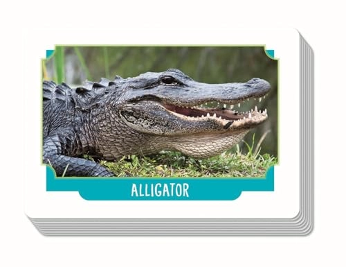 Galileo Games Record Suspect Animals - Card Game