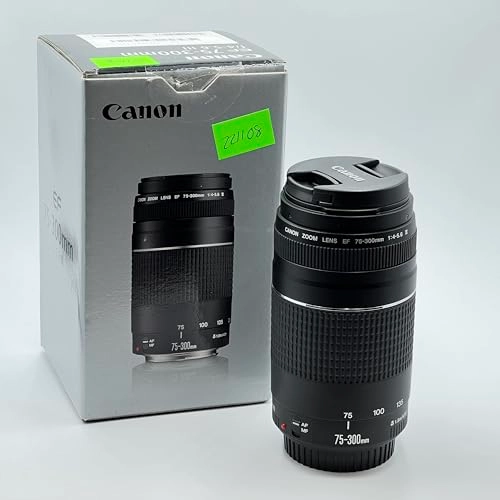 EOS Rebel T6 + EF-S 18-55mm f/3.5-5.6 IS II