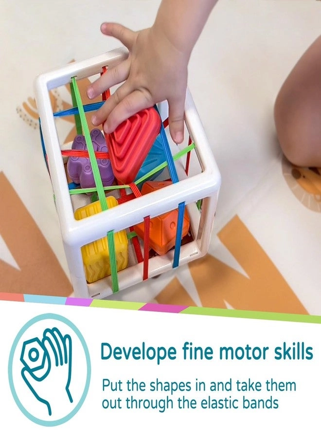 Shape Sorter - 1+ Years Old