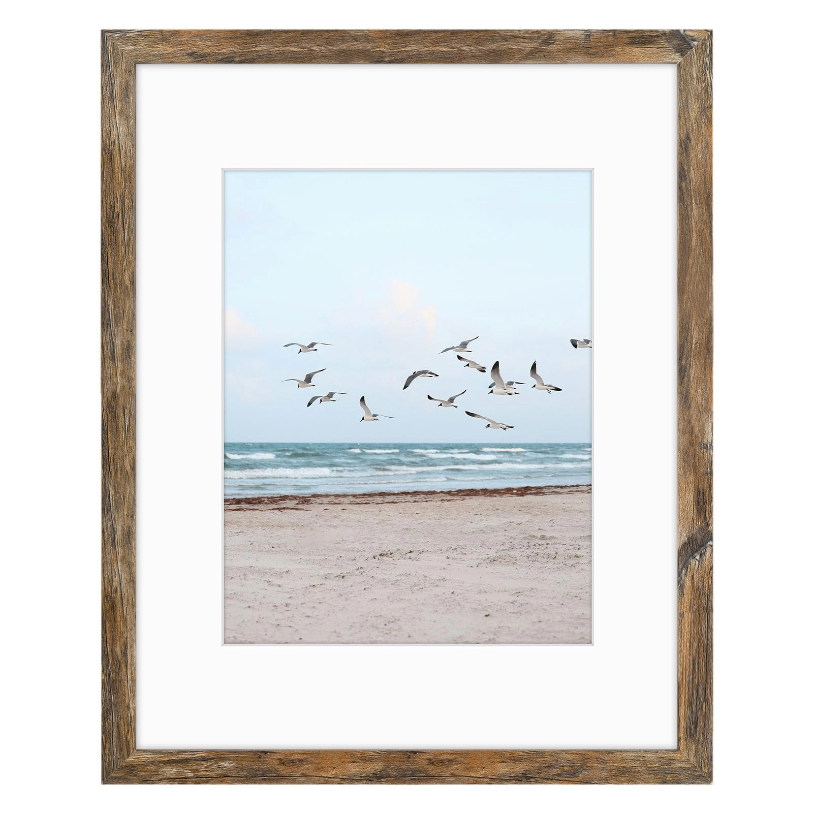 16x20 Frames Display