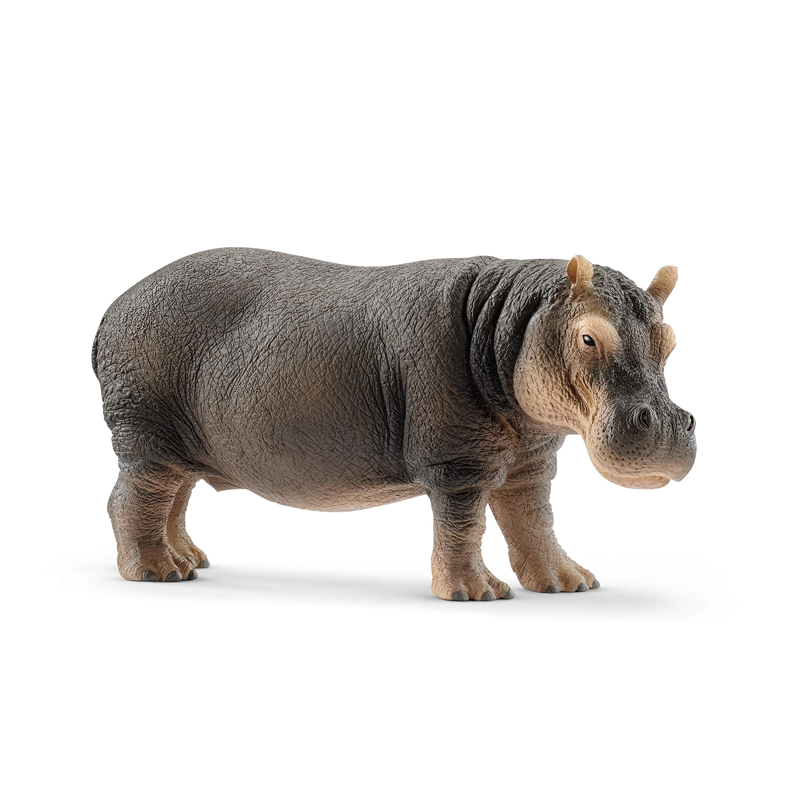 COLOR LAND CHILDRENS TOYS CENTER LLC Hippopotamus