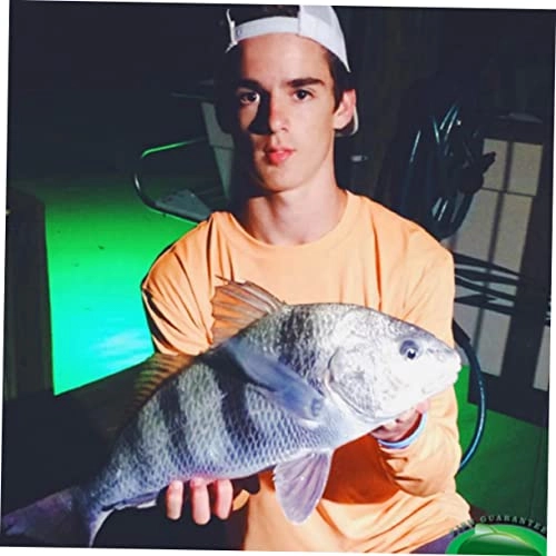 Underwater Fishing Lamp - 5M