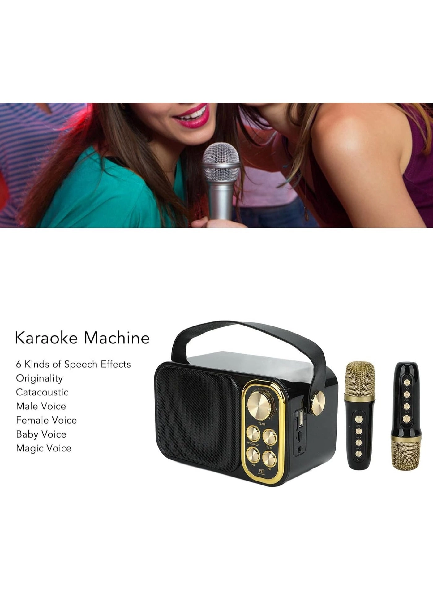 Outdoor Party Vocal Machine - 2 microphones