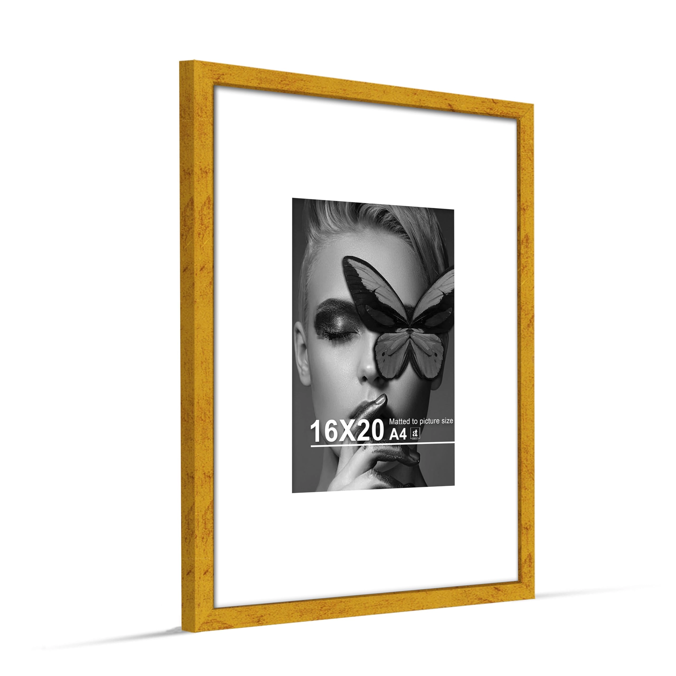 Document Frame - 16x20 Inch