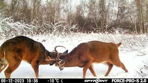 FORCE-PRO-S 2.0 - 48 megapixel