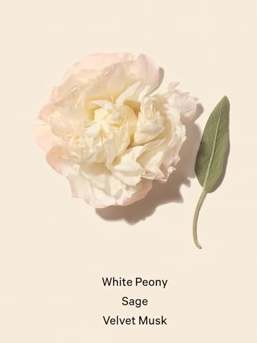 Bombshell Seduction - 8.4oz Musk