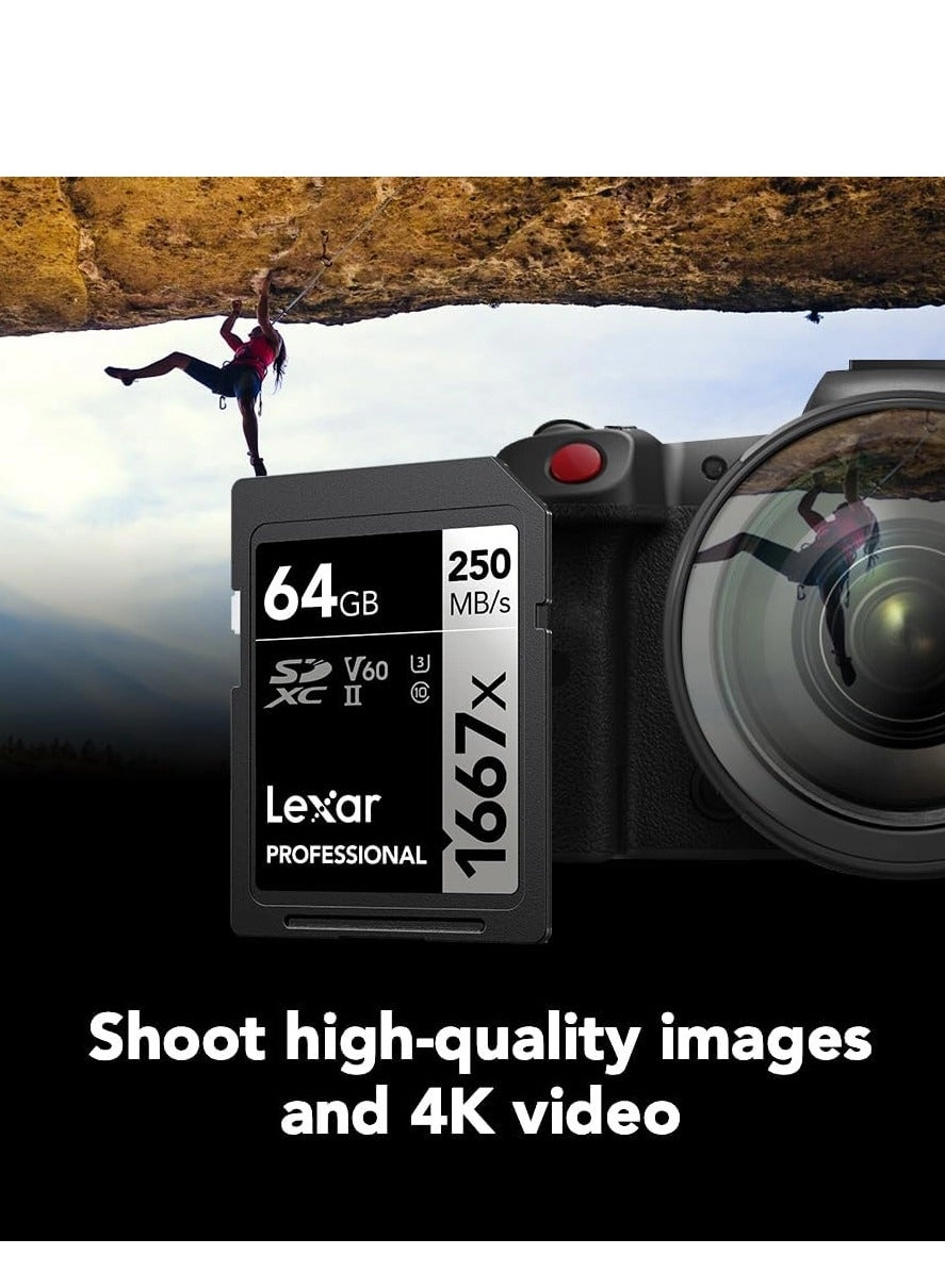 Professional SDHC/SDXC UHS-I U3 64GB
