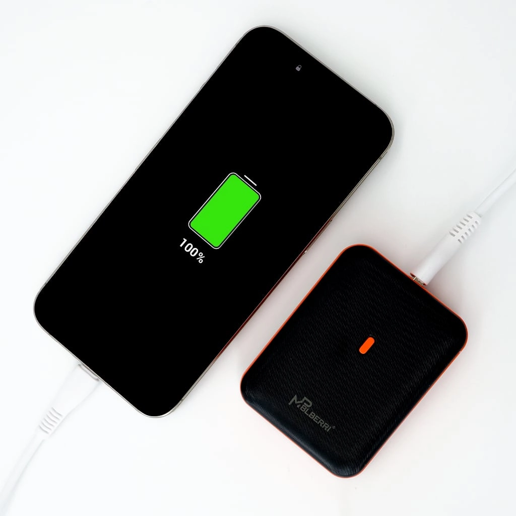 BLB-P102 - 10000mAh 20W