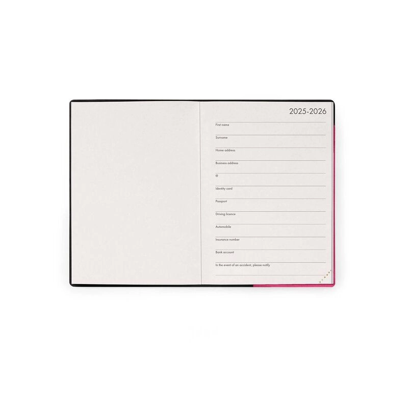 16-Month Diary