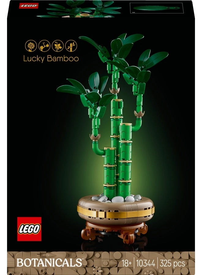 Lucky Bamboo (10344) - Botanicals