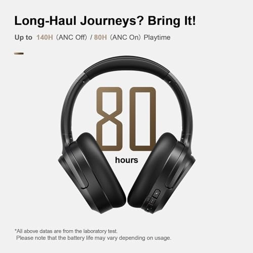 BH100 Wireless Headphone