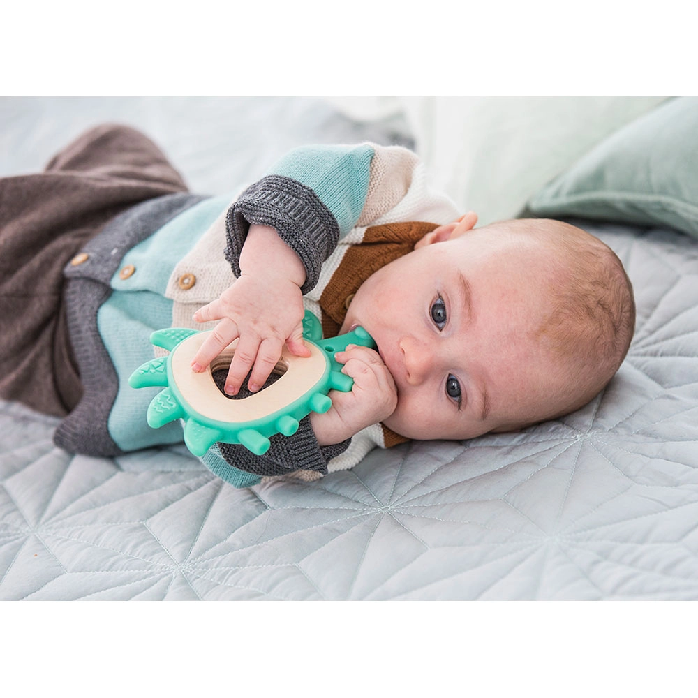 Teether Hedgehog - Green FSC Certified