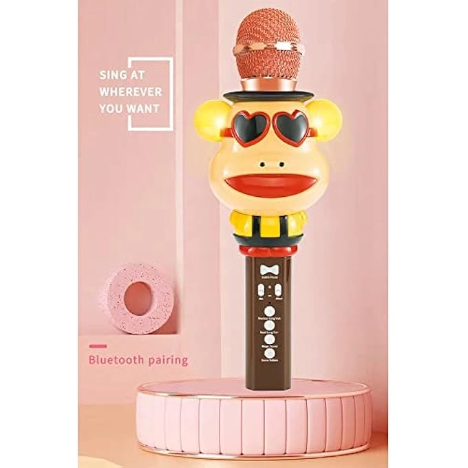 WIRELESS BLUETOOTH MICROPHONE