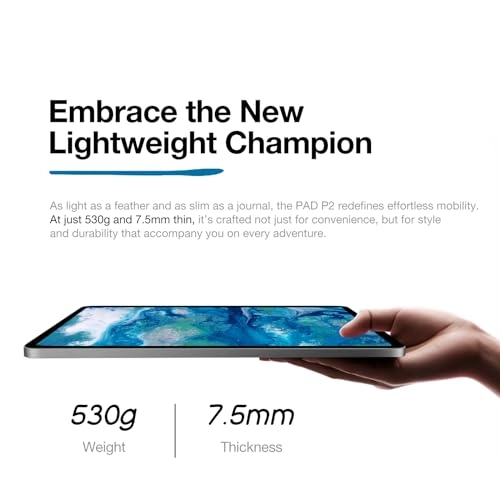 P2 Active - 16GB 11"