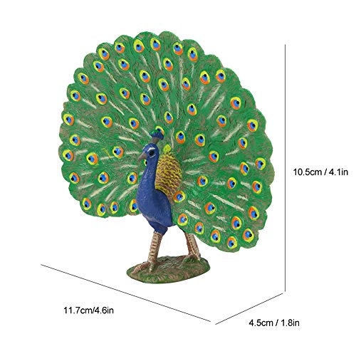 Peacock Model - 18 months - 3 years Peacock 1