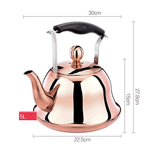 Stovetop Induction Whistling Kettle - 5L