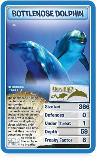 Creatures of The Deep - 6 Plus