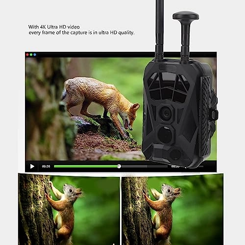 x2kvo01sut - 4G 36MP