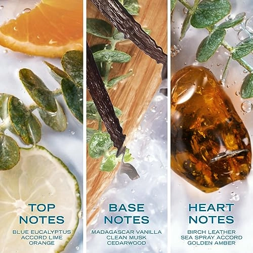 Pure Blue Eau de Toilette 50ml