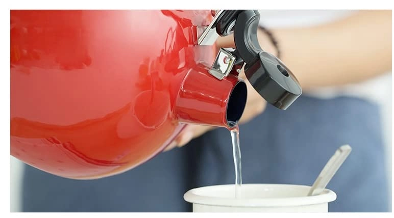 Whistling Teapot - Enamel 1.4L