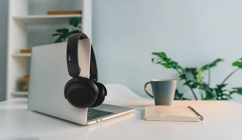 TAH2209 Wireless Headphone
